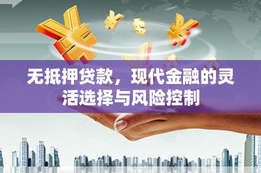 武胜无抵押贷款，现代金融的灵活选择与风险控制