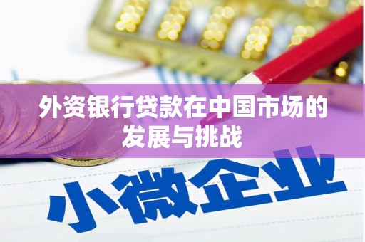 武胜外资银行贷款在中国市场的发展与挑战