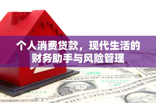 武胜个人消费贷款，现代生活的财务助手与风险管理