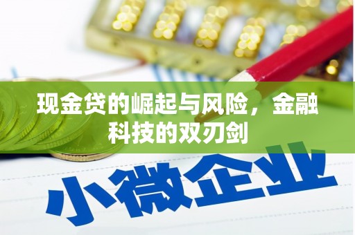 武胜现金贷的崛起与风险，金融科技的双刃剑