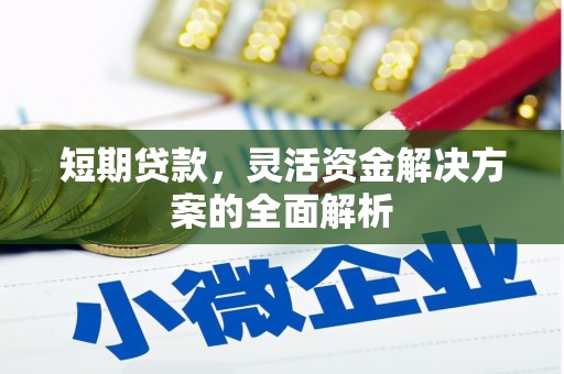 武胜短期贷款，灵活资金解决方案的全面解析