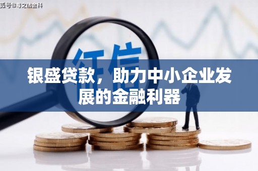 武胜银盛贷款，助力中小企业发展的金融利器