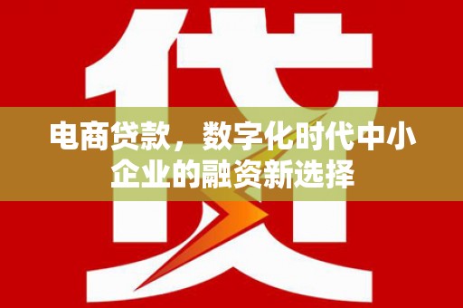武胜电商贷款，数字化时代中小企业的融资新选择