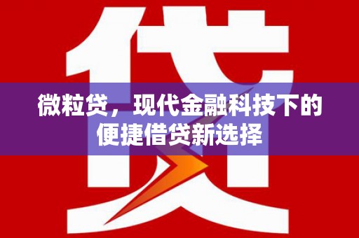 武胜微粒贷，现代金融科技下的便捷借贷新选择