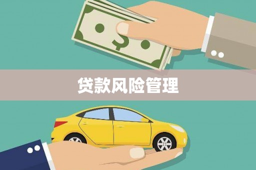 武胜贷款风险管理