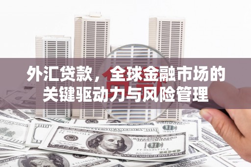 武胜外汇贷款，全球金融市场的关键驱动力与风险管理