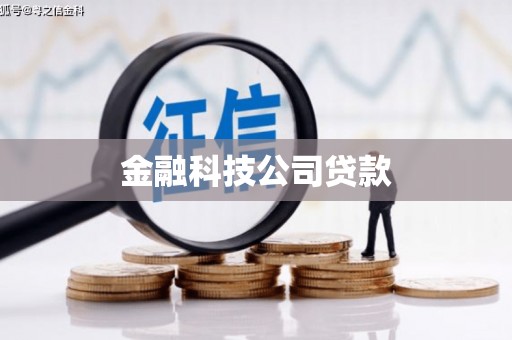 武胜金融科技公司贷款