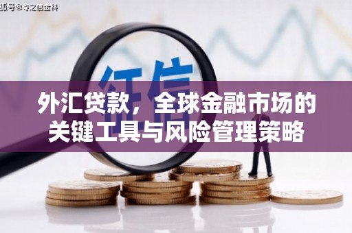 武胜外汇贷款，全球金融市场的关键工具与风险管理策略