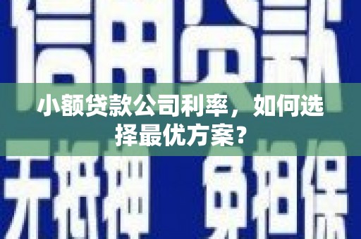 武胜小额贷款公司利率，如何选择最优方案？