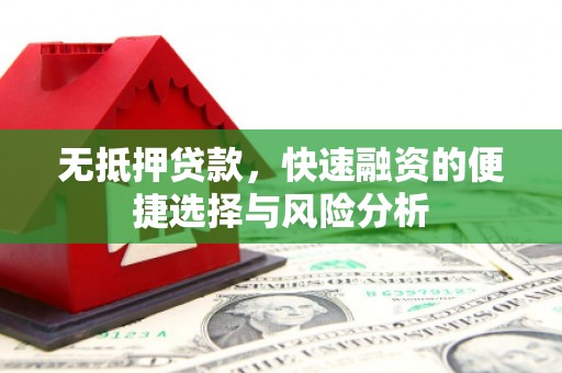 武胜无抵押贷款，快速融资的便捷选择与风险分析