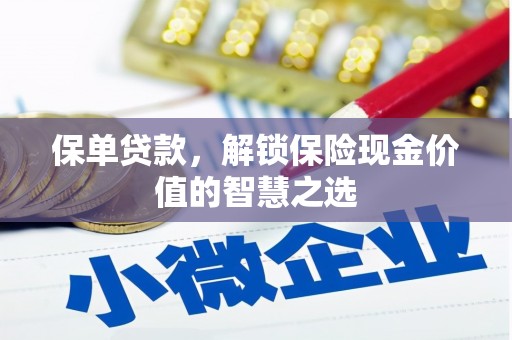 武胜保单贷款，解锁保险现金价值的智慧之选