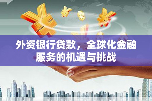 武胜外资银行贷款，全球化金融服务的机遇与挑战