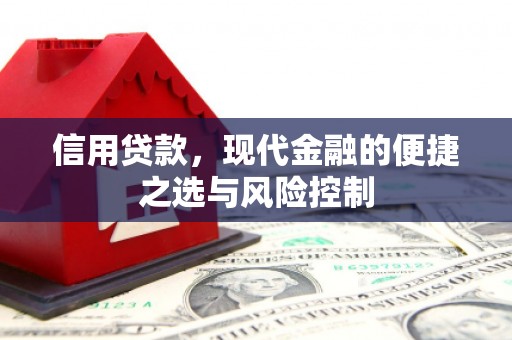 武胜信用贷款，现代金融的便捷之选与风险控制