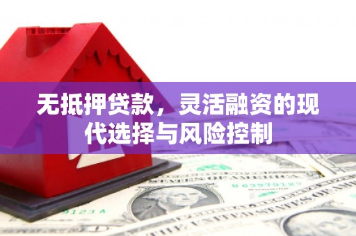 武胜无抵押贷款，灵活融资的现代选择与风险控制