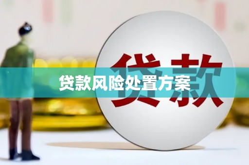 武胜贷款风险处置方案