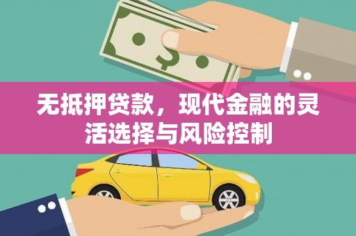 武胜无抵押贷款，现代金融的灵活选择与风险控制