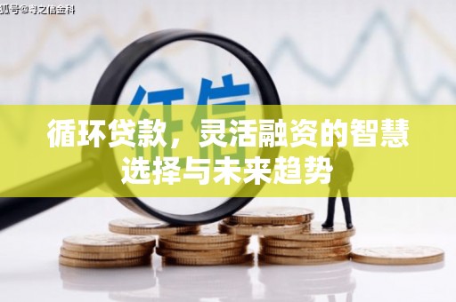 武胜循环贷款，灵活融资的智慧选择与未来趋势
