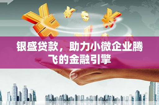 武胜银盛贷款，助力小微企业腾飞的金融引擎
