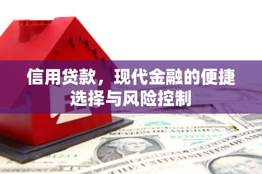 武胜信用贷款，现代金融的便捷选择与风险控制
