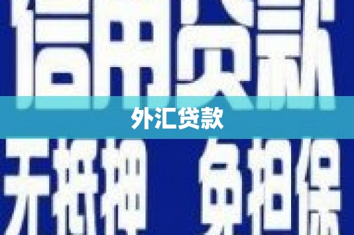 武胜外汇贷款