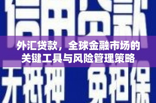 武胜外汇贷款，全球金融市场的关键工具与风险管理策略