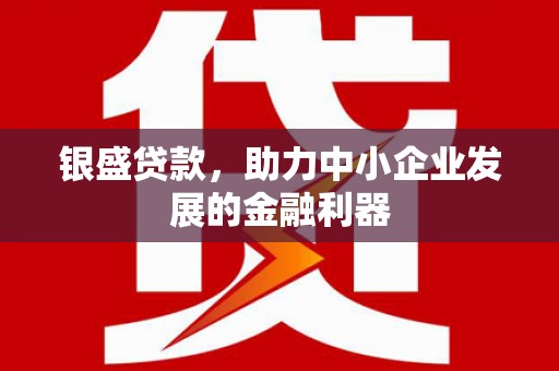 武胜银盛贷款，助力中小企业发展的金融利器