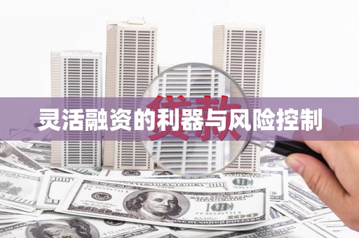 武胜灵活融资的利器与风险控制