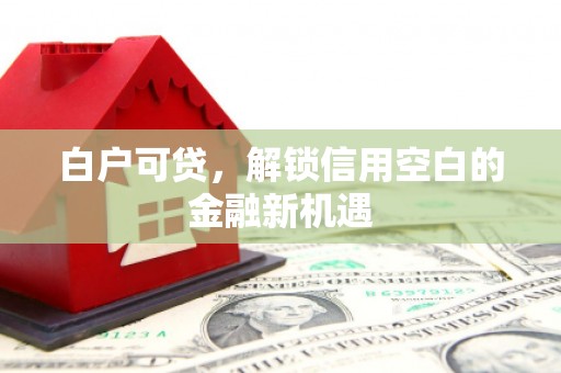 武胜白户可贷，解锁信用空白的金融新机遇