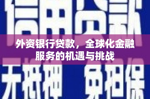 武胜外资银行贷款，全球化金融服务的机遇与挑战