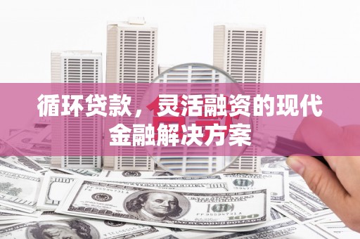武胜循环贷款，灵活融资的现代金融解决方案