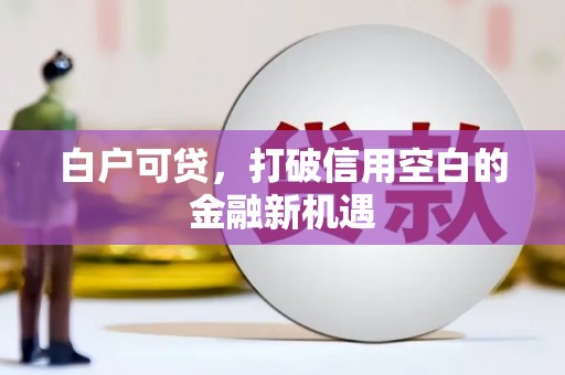 武胜白户可贷，打破信用空白的金融新机遇