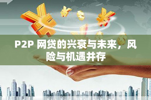 武胜P2P 网贷的兴衰与未来，风险与机遇并存