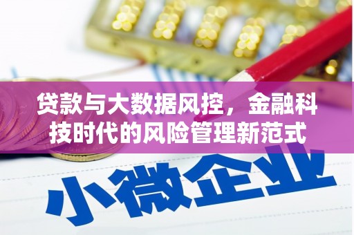武胜贷款与大数据风控，金融科技时代的风险管理新范式