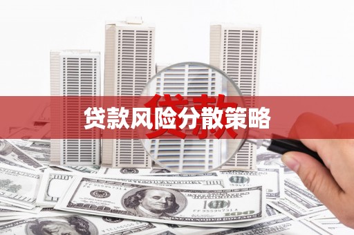 武胜贷款风险分散策略