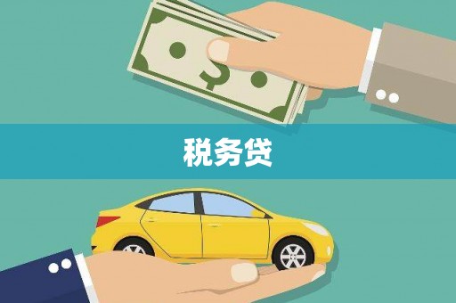 武胜税务贷