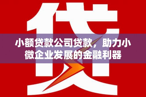 武胜小额贷款公司贷款，助力小微企业发展的金融利器