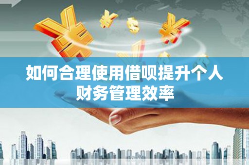 武胜如何合理使用借呗提升个人财务管理效率