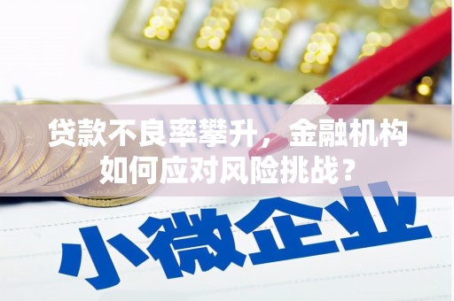 武胜贷款不良率攀升，金融机构如何应对风险挑战？