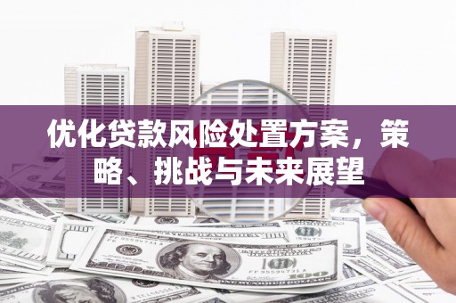 武胜优化贷款风险处置方案，策略、挑战与未来展望