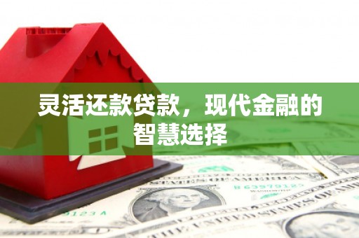 武胜灵活还款贷款，现代金融的智慧选择