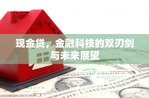 武胜现金贷，金融科技的双刃剑与未来展望