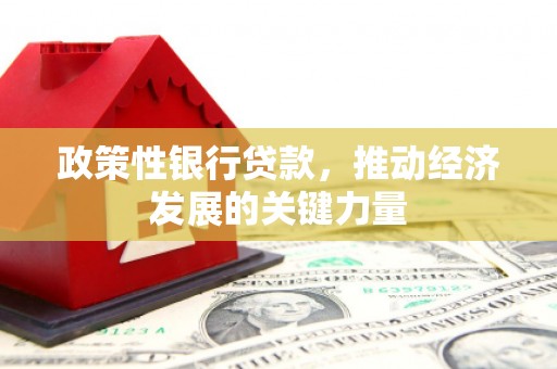 武胜政策性银行贷款，推动经济发展的关键力量