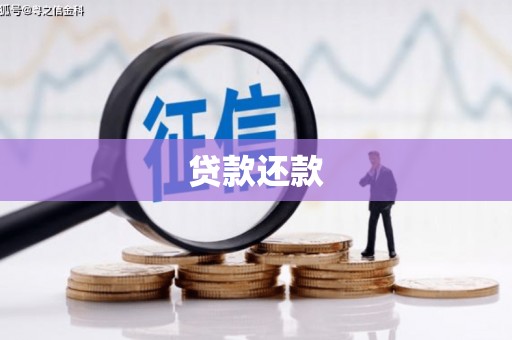 武胜贷款还款