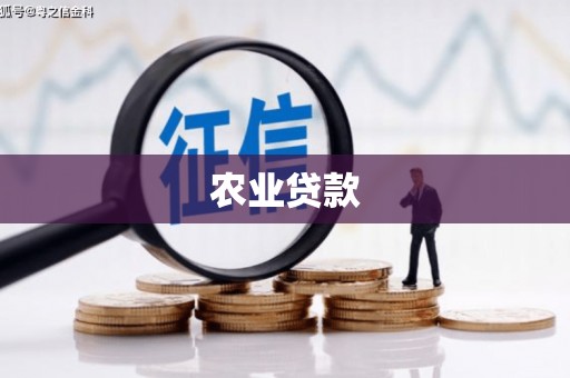武胜农业贷款