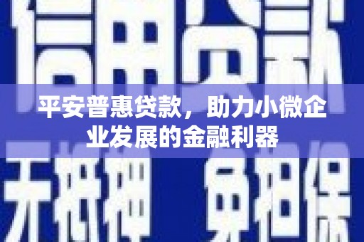 武胜平安普惠贷款，助力小微企业发展的金融利器