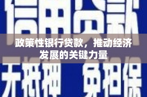 武胜政策性银行贷款，推动经济发展的关键力量