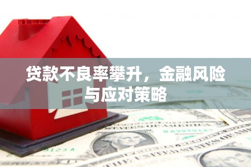 武胜贷款不良率攀升，金融风险与应对策略