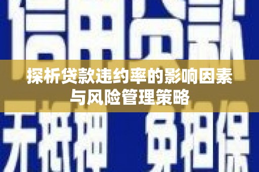 武胜探析贷款违约率的影响因素与风险管理策略