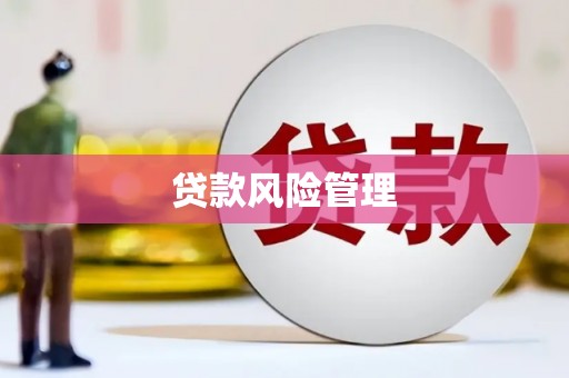 武胜贷款风险管理