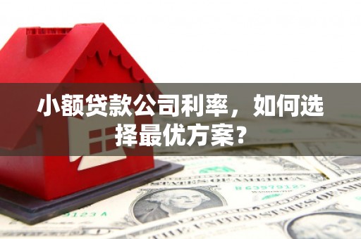 武胜小额贷款公司利率，如何选择最优方案？